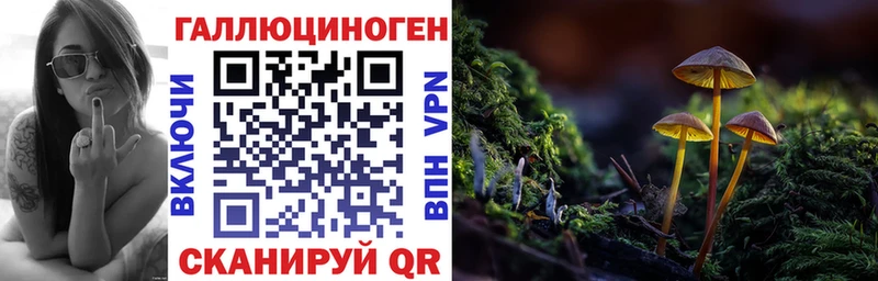 Псилоцибиновые грибы мухоморы  Шилка 